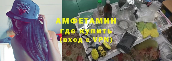 ГАЛЛЮЦИНОГЕННЫЕ ГРИБЫ Богданович