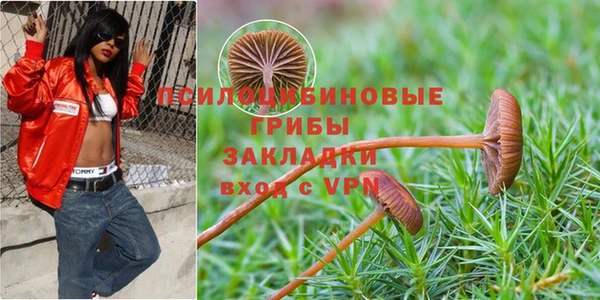 мяу мяу мука Мегион