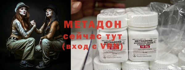 гидра Михайловка