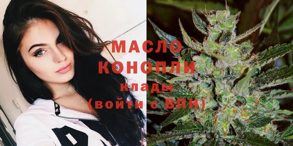 гидра Михайловка