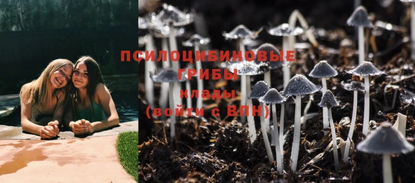 дурь Аша