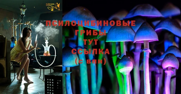 дурь Михайлов