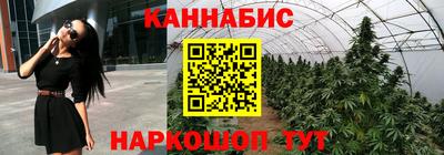 Альфа ПВП Ирбит