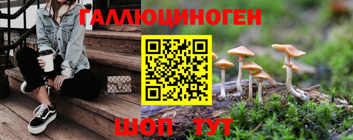 где найти   Псилоцибиновые грибы мицелий  Вход с VPN  Таганрог 